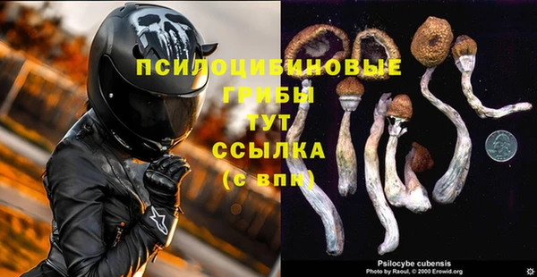 таблы Алзамай