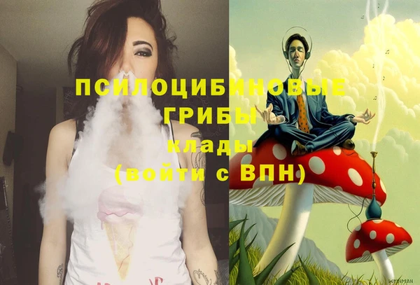 дурь Надым