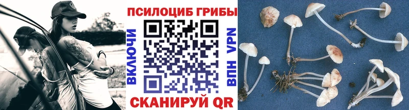 Псилоцибиновые грибы ЛСД  наркошоп  Цимлянск 